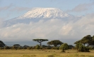 Kilimandżaro_4
