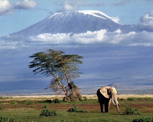 Kilimandżaro_6